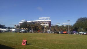 Soccer Field image 1