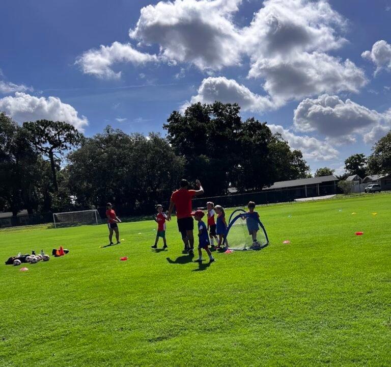 Soccer Field image 2