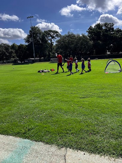 Soccer Field image 1