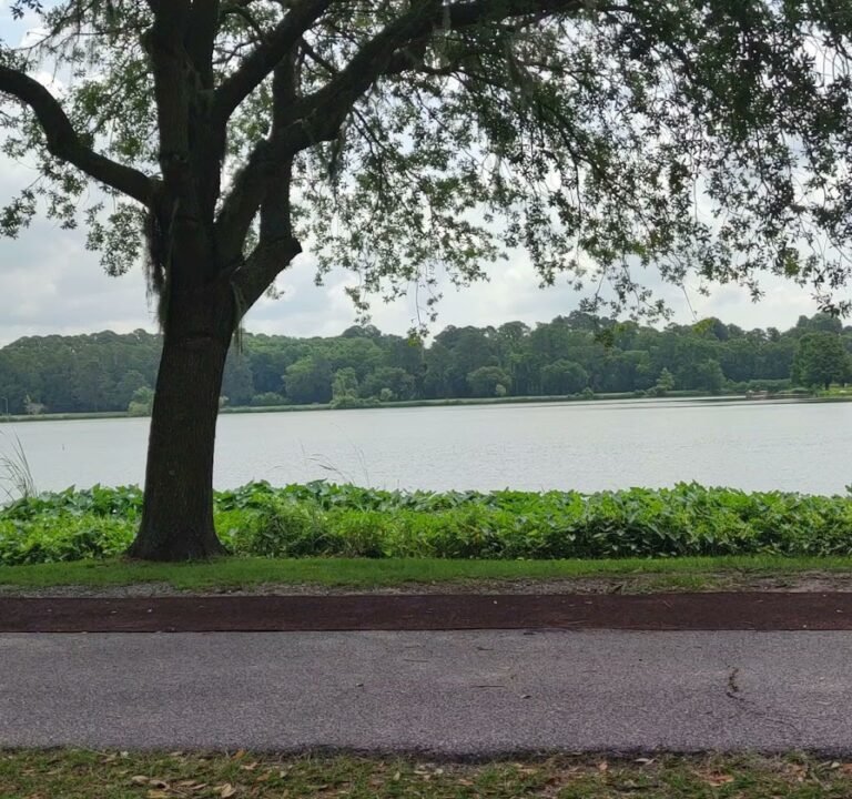 Soccer Field image 4