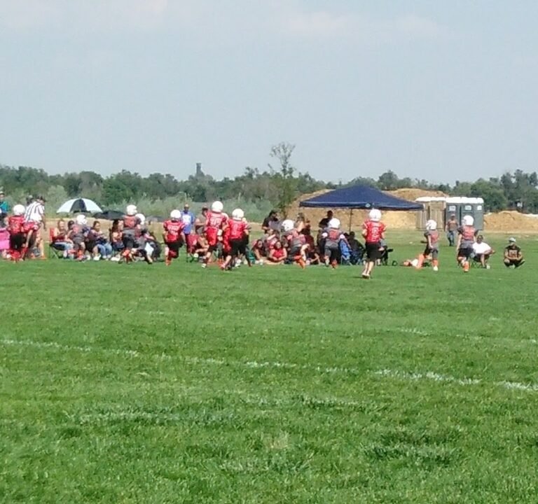 Soccer Field image 3
