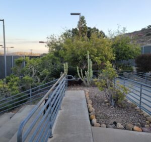 Soccer Field image 3