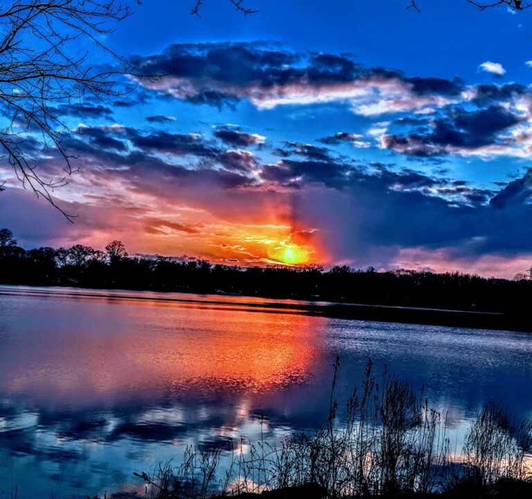 Soccer Field image 2