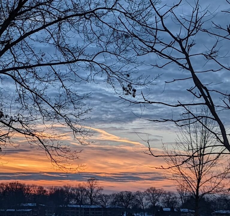 Soccer Field image 3