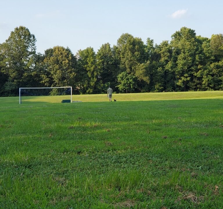 Soccer Field image 2