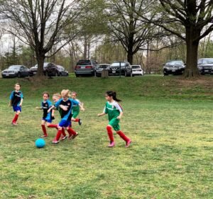 Soccer Field image 3