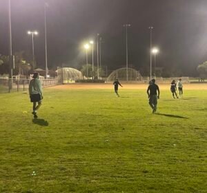 Soccer Field image 2