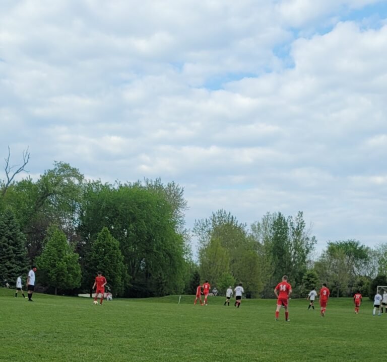Soccer Field image 2