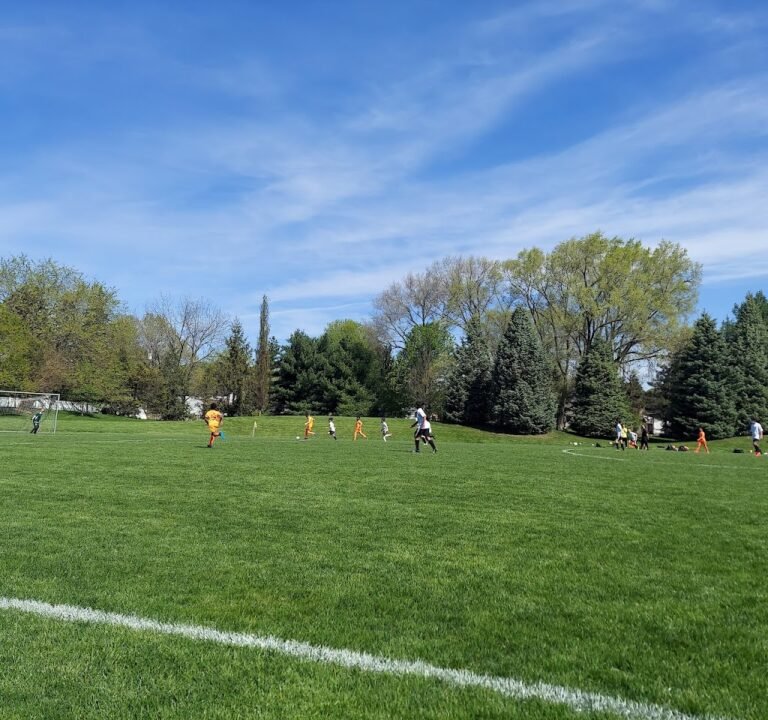 Soccer Field image 3