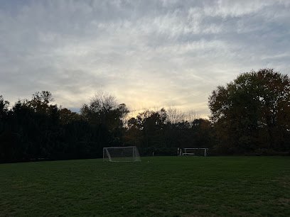 Soccer Field image 1