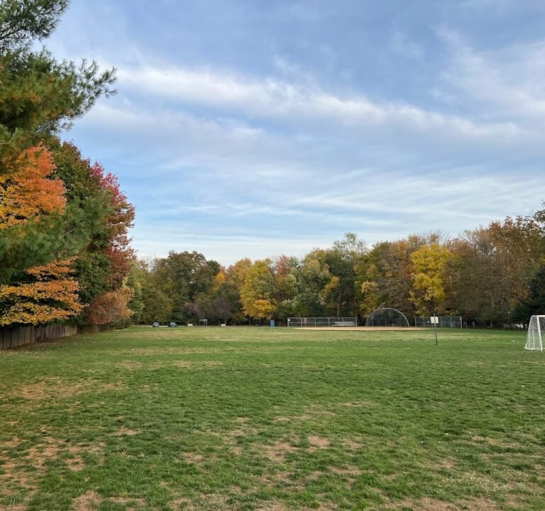 Soccer Field image 2