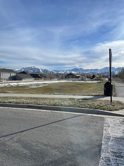 Soccer Field image 1