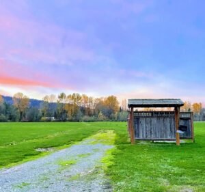Soccer Field image 2