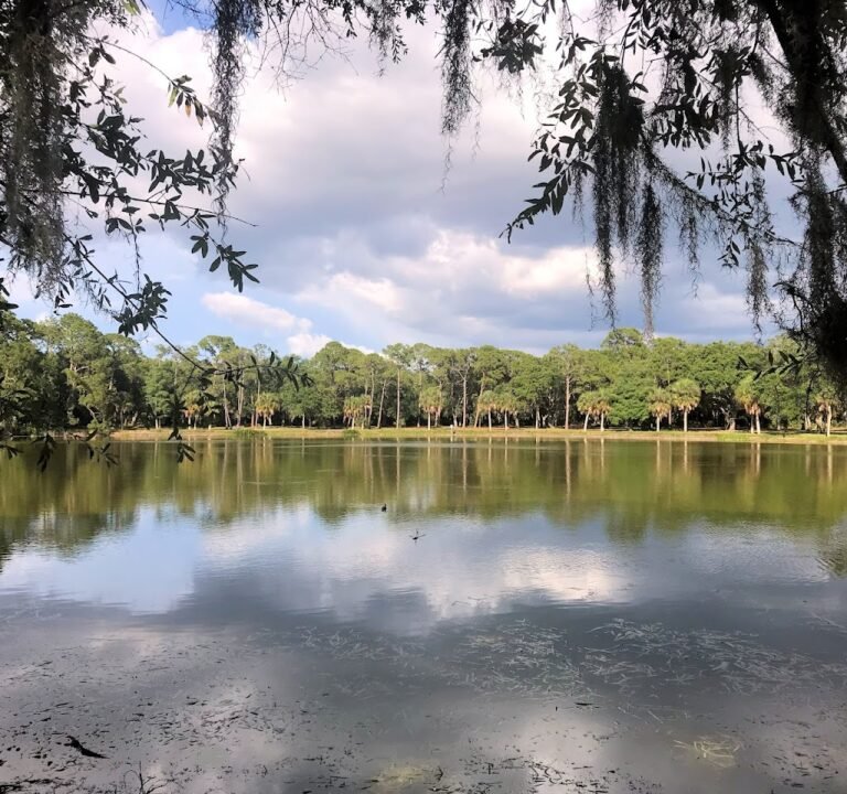 Soccer Field image 2