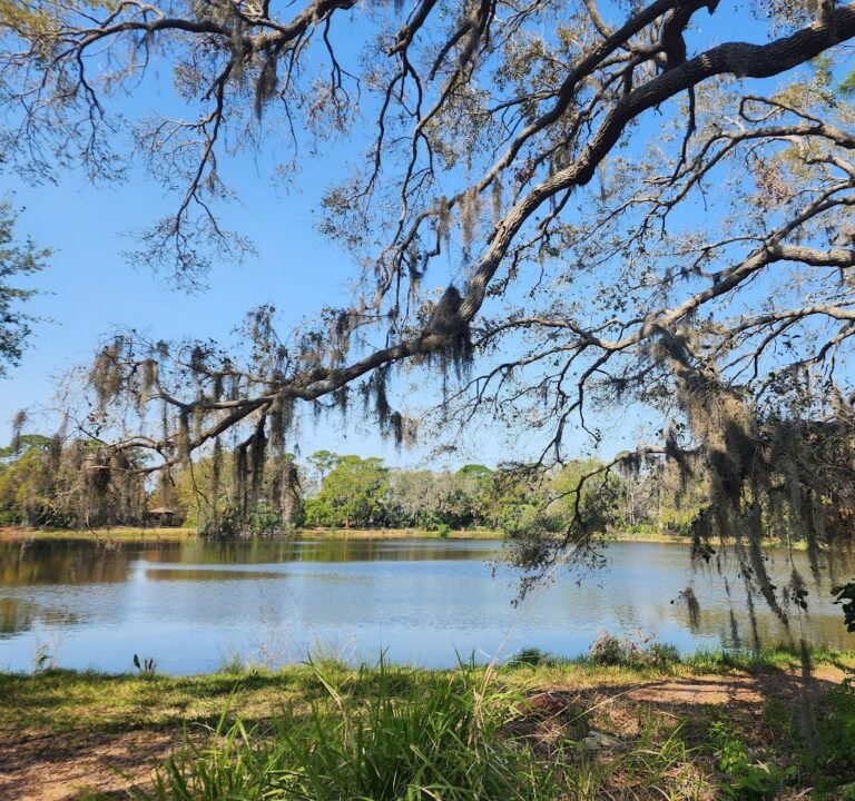Soccer Field image 3