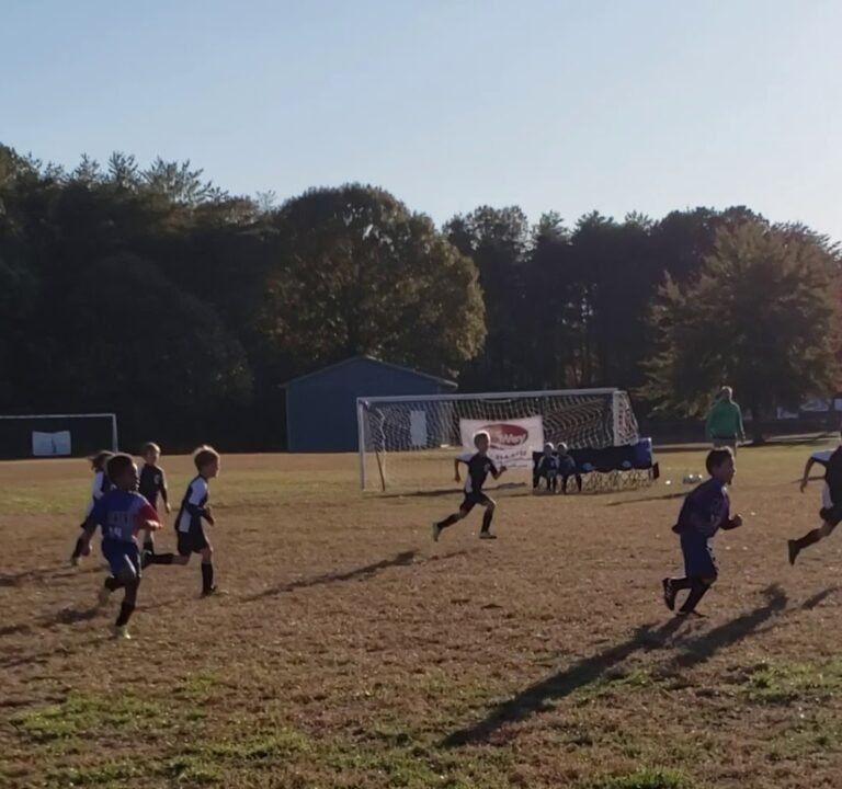 Soccer Field image 4