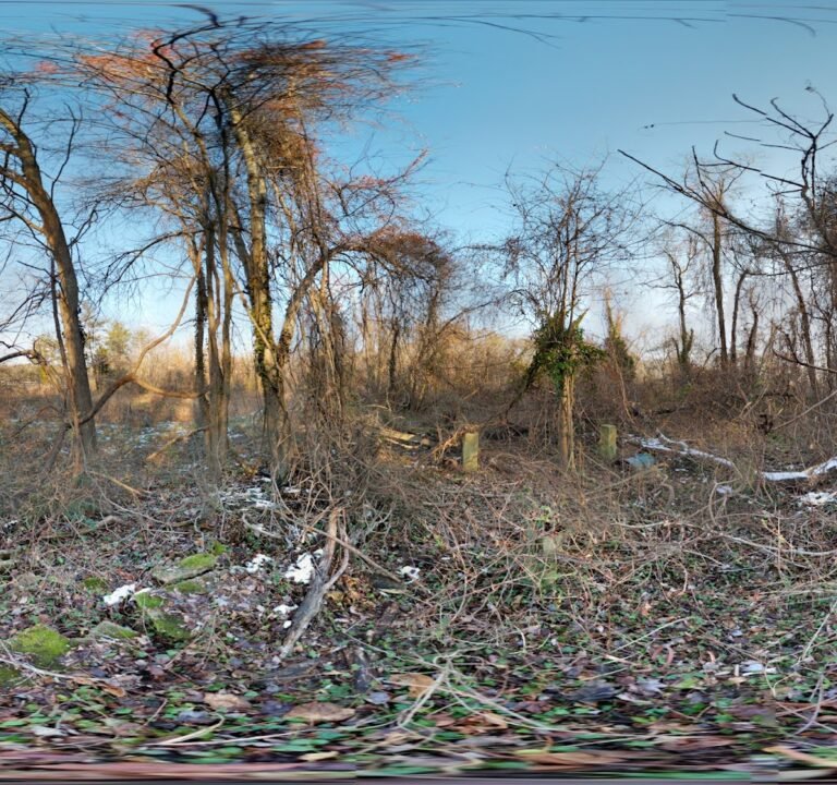 Soccer Field image 3