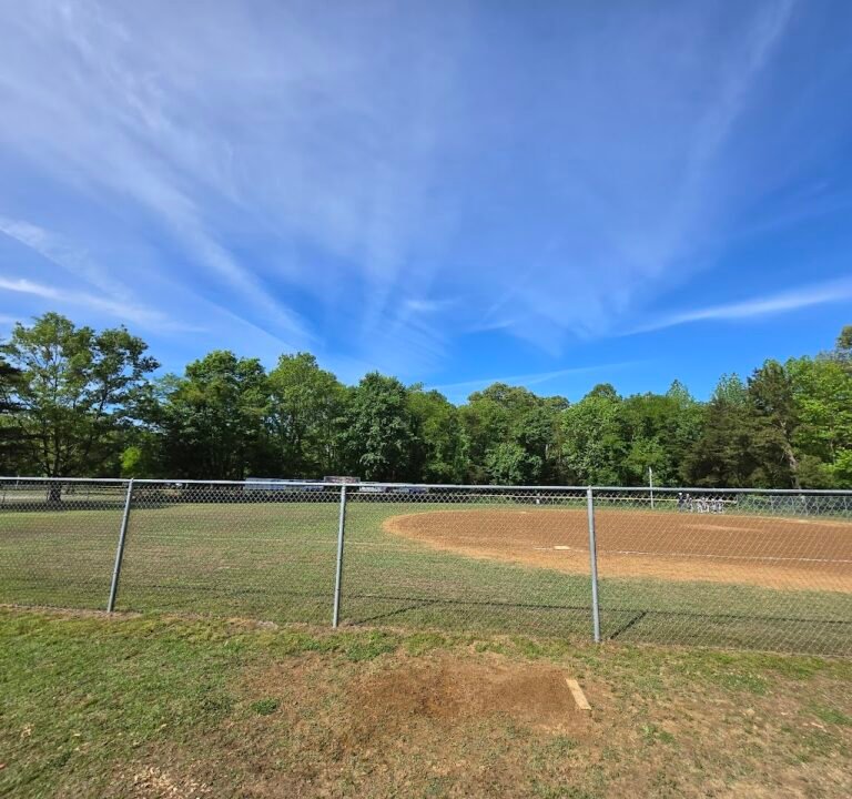 Soccer Field image 2