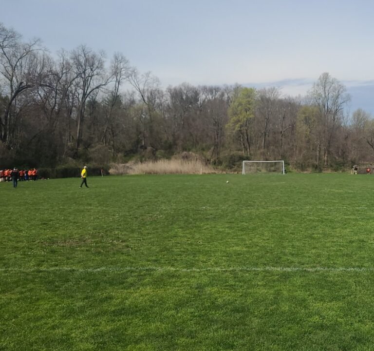 Soccer Field image 2