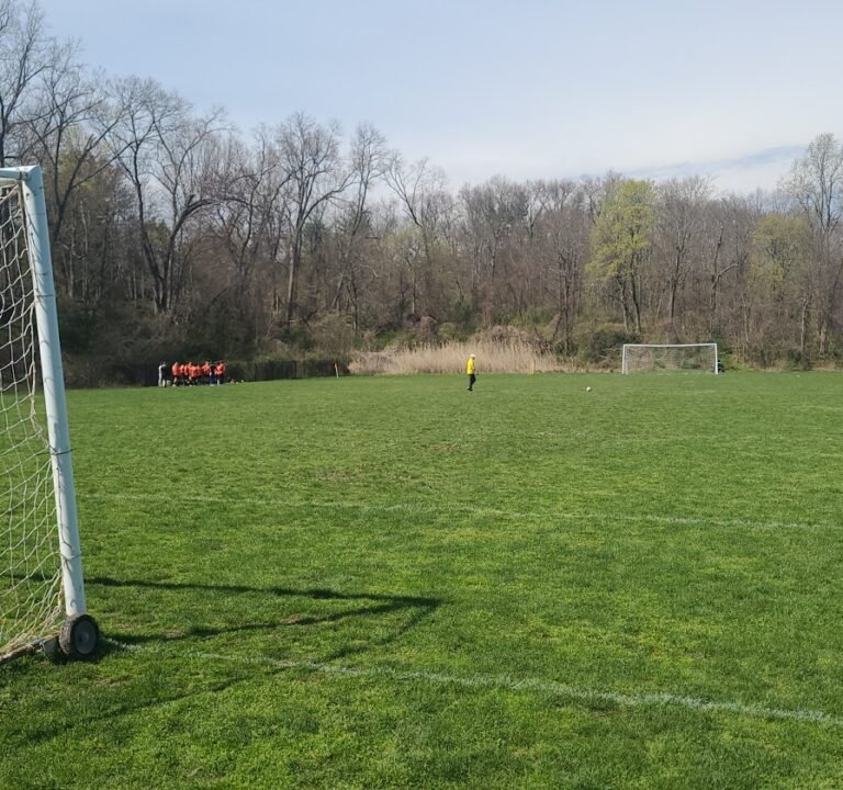 Soccer Field image 3