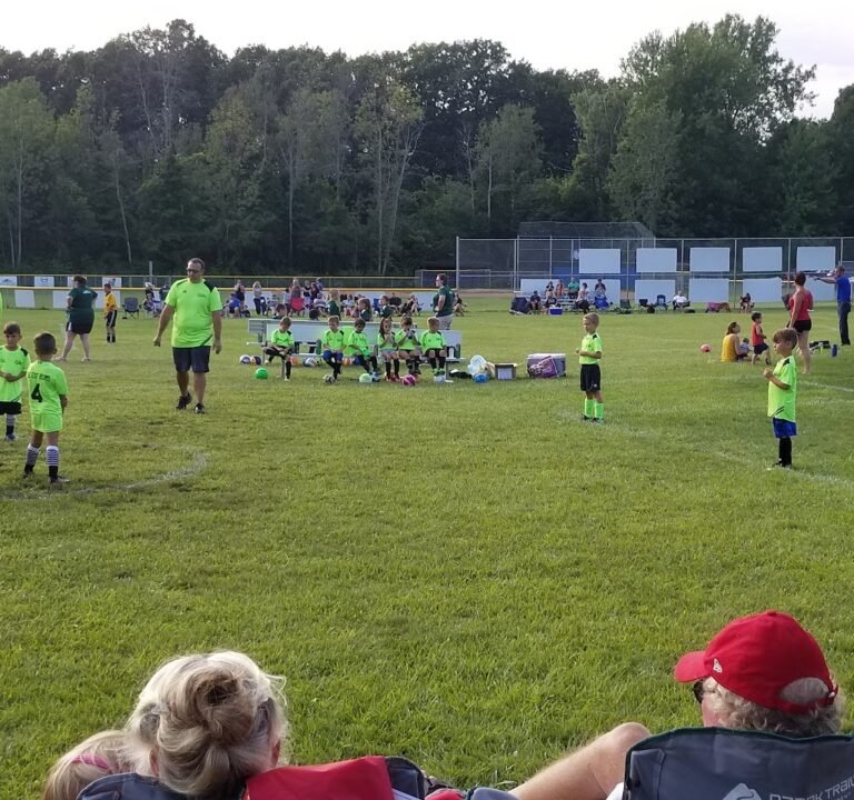 Soccer Field image 2