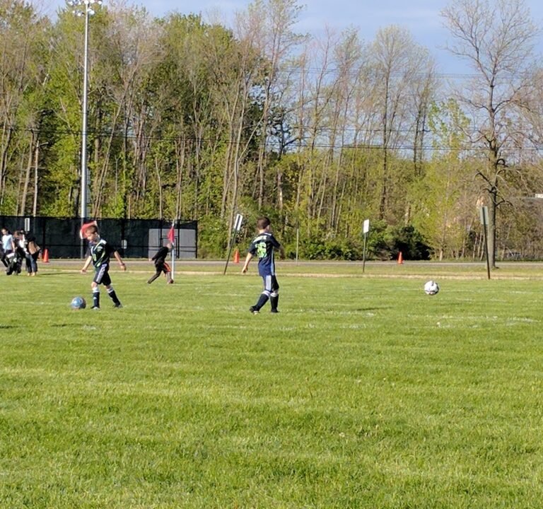 Soccer Field image 3