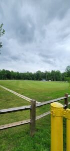 Soccer Field image 1