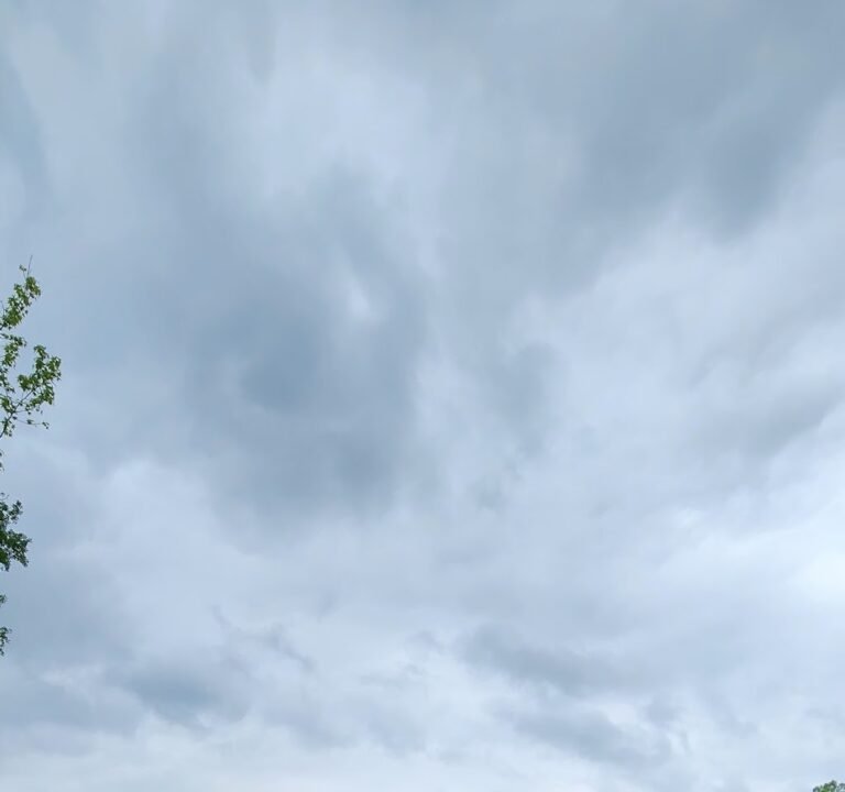 Soccer Field image 2