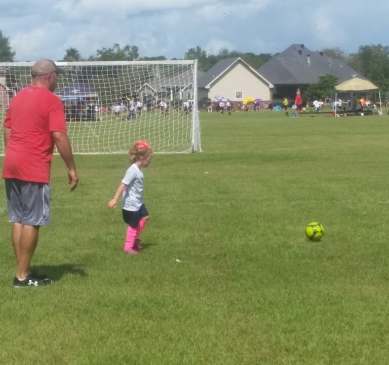Soccer Field image 3