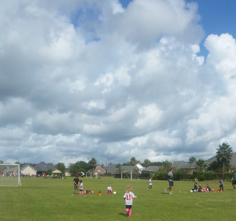 Soccer Field image 2