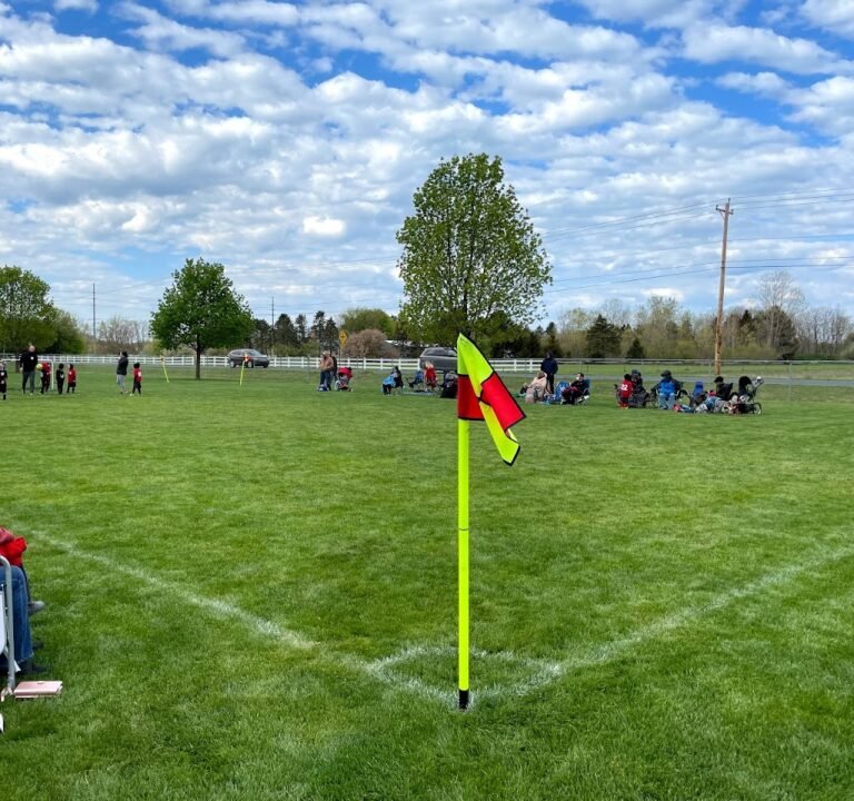 Soccer Field image 2