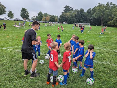 Soccer Field image 1