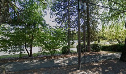 Soccer Field image 1