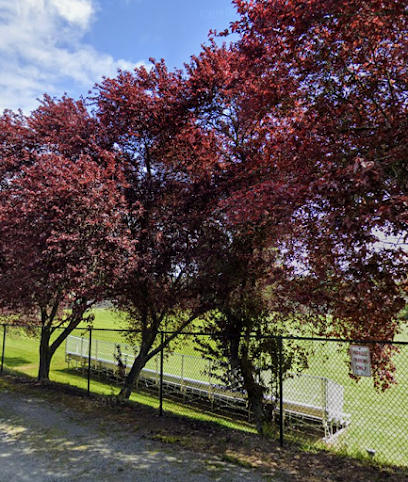 Soccer Field image 1