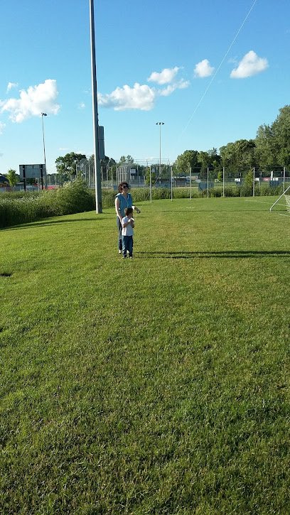Soccer Field image 1