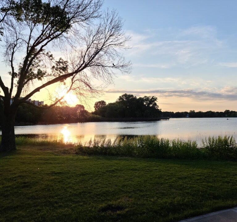 Soccer Field image 2