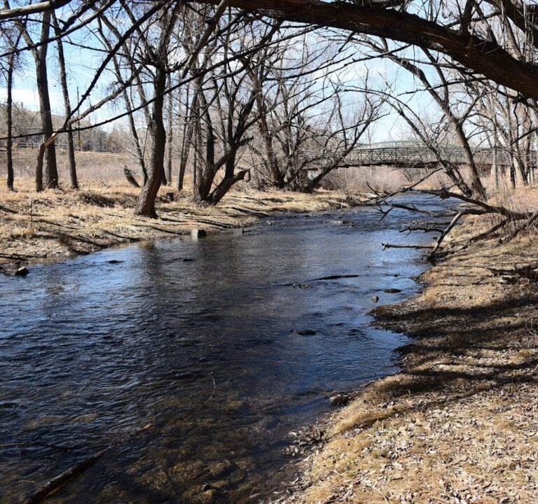 Soccer Field image 2