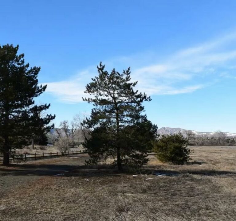 Soccer Field image 4