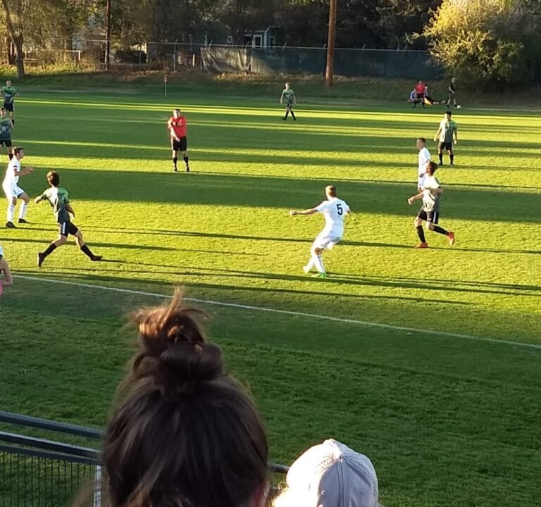 Soccer Field image 3