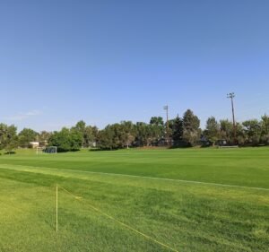 Soccer Field image 2