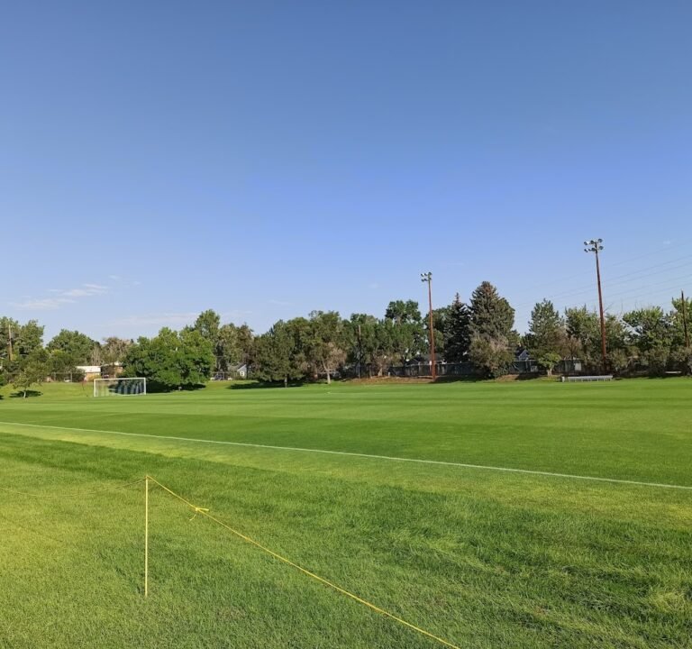 Soccer Field image 2