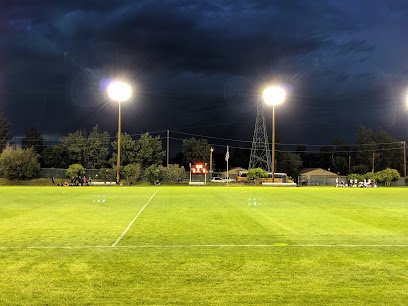 Soccer Field image 1