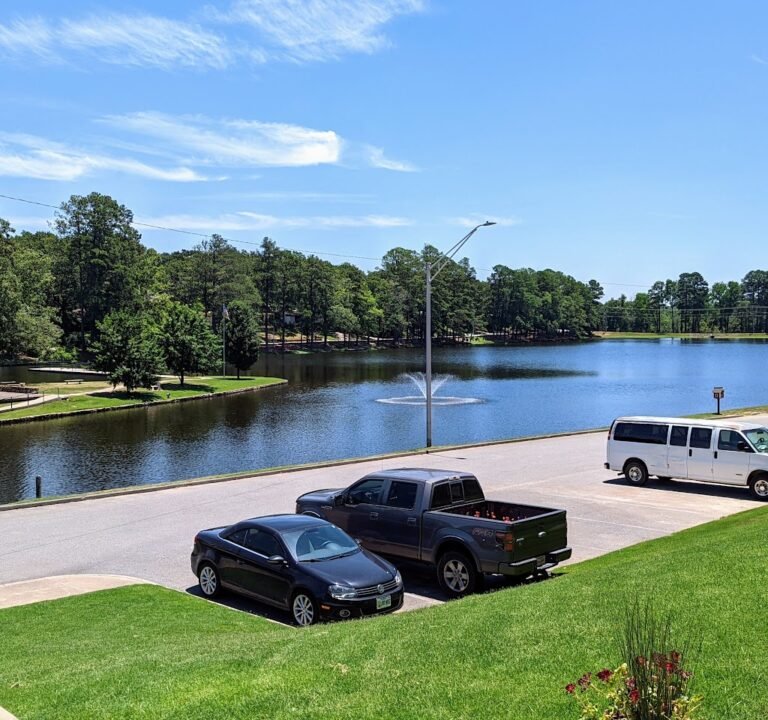 Soccer Field image 2