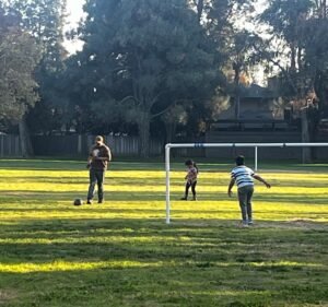 Soccer Field image 2