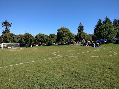 Soccer Field image 1