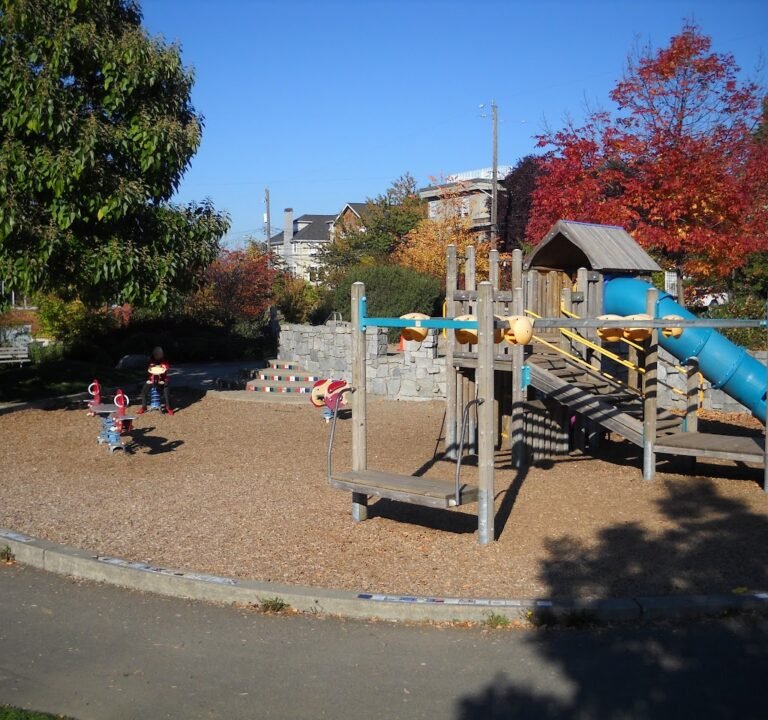 Soccer Field image 2