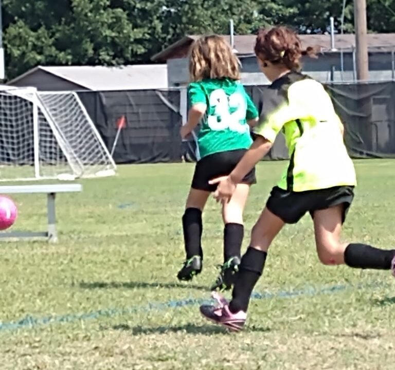 Soccer Field image 2