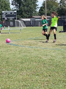 Soccer Field image 1