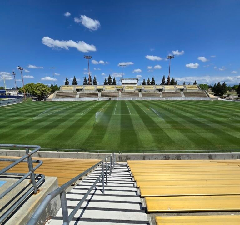 Soccer Field image 2