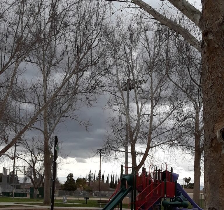 Soccer Field image 2